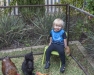 Harvey-hangin-with-the-chicks