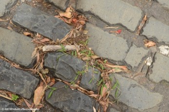 Original cobble stones