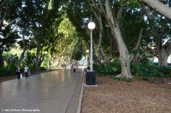 Hyde Park, Sydney