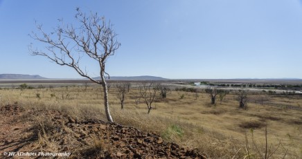 Parry Lagoons - Kimberley