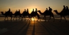 cable_beach_camels_at_sunset_1250