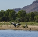 Brolgas and Ibis - Ord River