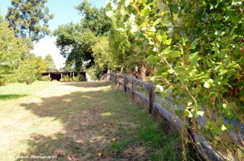 Post and rail fence