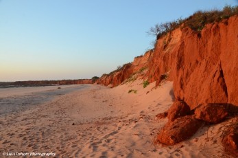 Red coastal dune