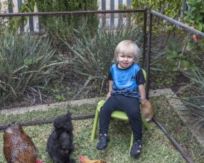Harvey hangin' with the chicks