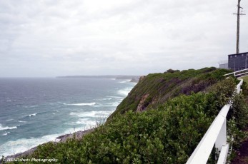The coast from Strezlecki Lookout