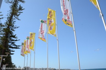Flags on the beach