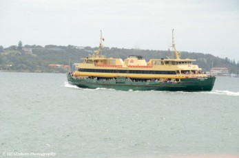 Freshwater ferry