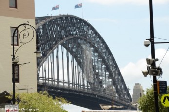 The Bridge from The Rocks