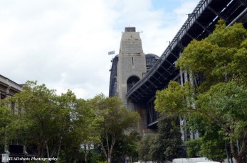 The Bridge from the Rocks