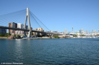 Glebe Bridge with Sydney Centrepoint Tower to the right