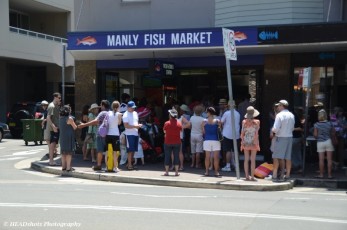 Would you say the fish must be good at these markets!!