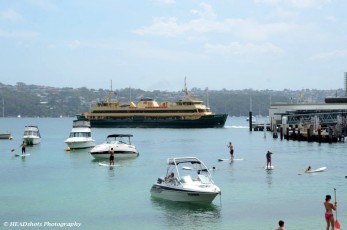 Paddleboards, boats and ferry, Manly