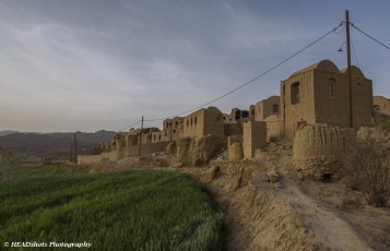 Green crop and the old citadel, Kharanaq Caravanserai