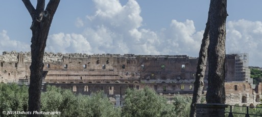 Colosseum from the Roman Forum