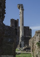 Columns of the Temple of Castor and Pollux, Roman Forum