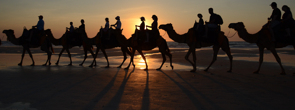 Cable Beach camels, Broome