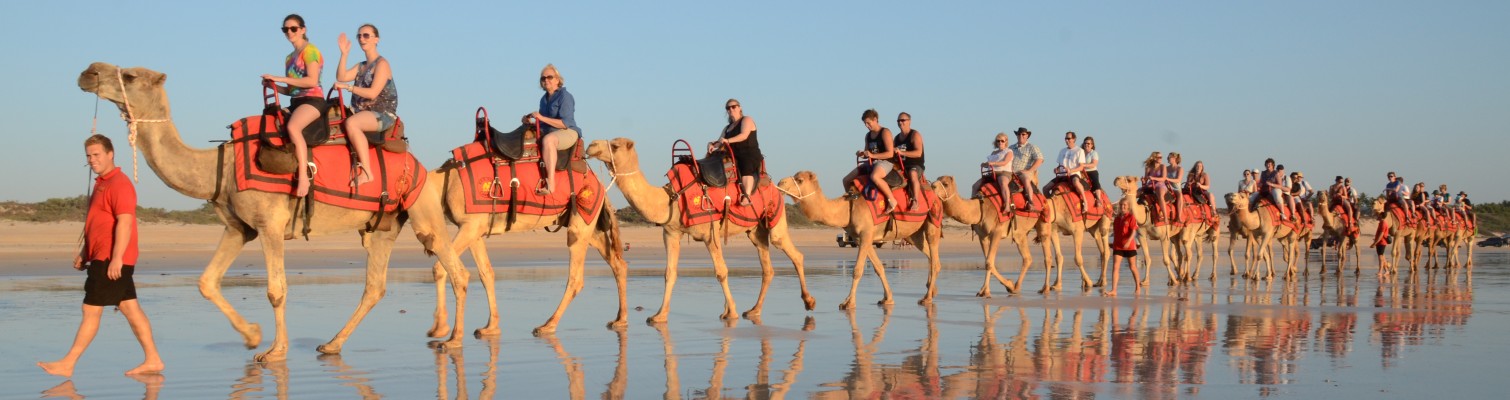 Red Camels, Broome